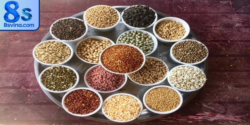 Vì sao ngũ cốc là thức ăn không thể thiếu cho gà đá?